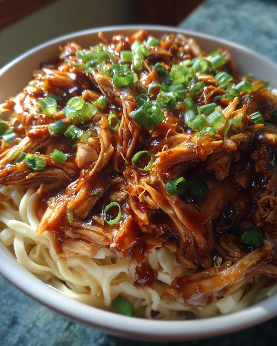 crockpot honey garlic chicken with noodles - detail 1