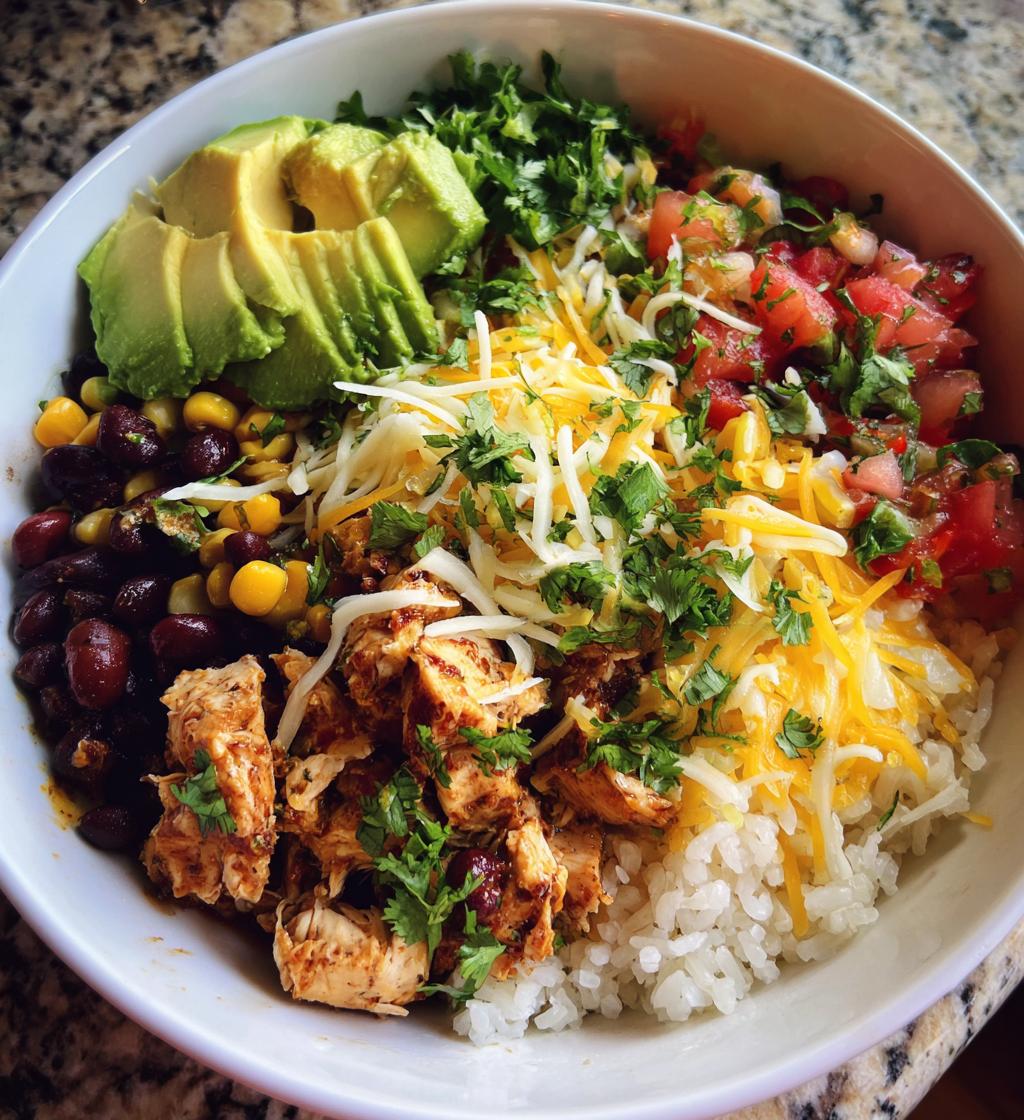 pot chicken burrito bowl - detail 1
