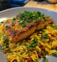 one skillet salmon with lemon orzo