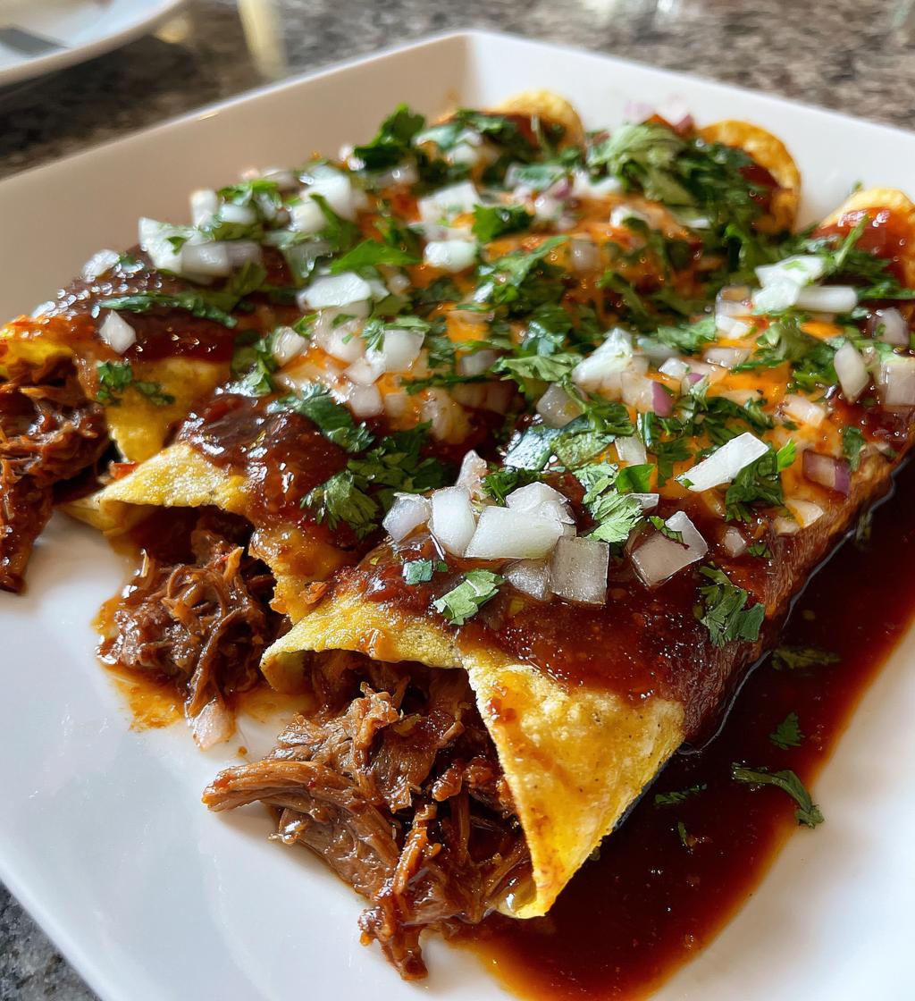 birria enchiladas - detail 1