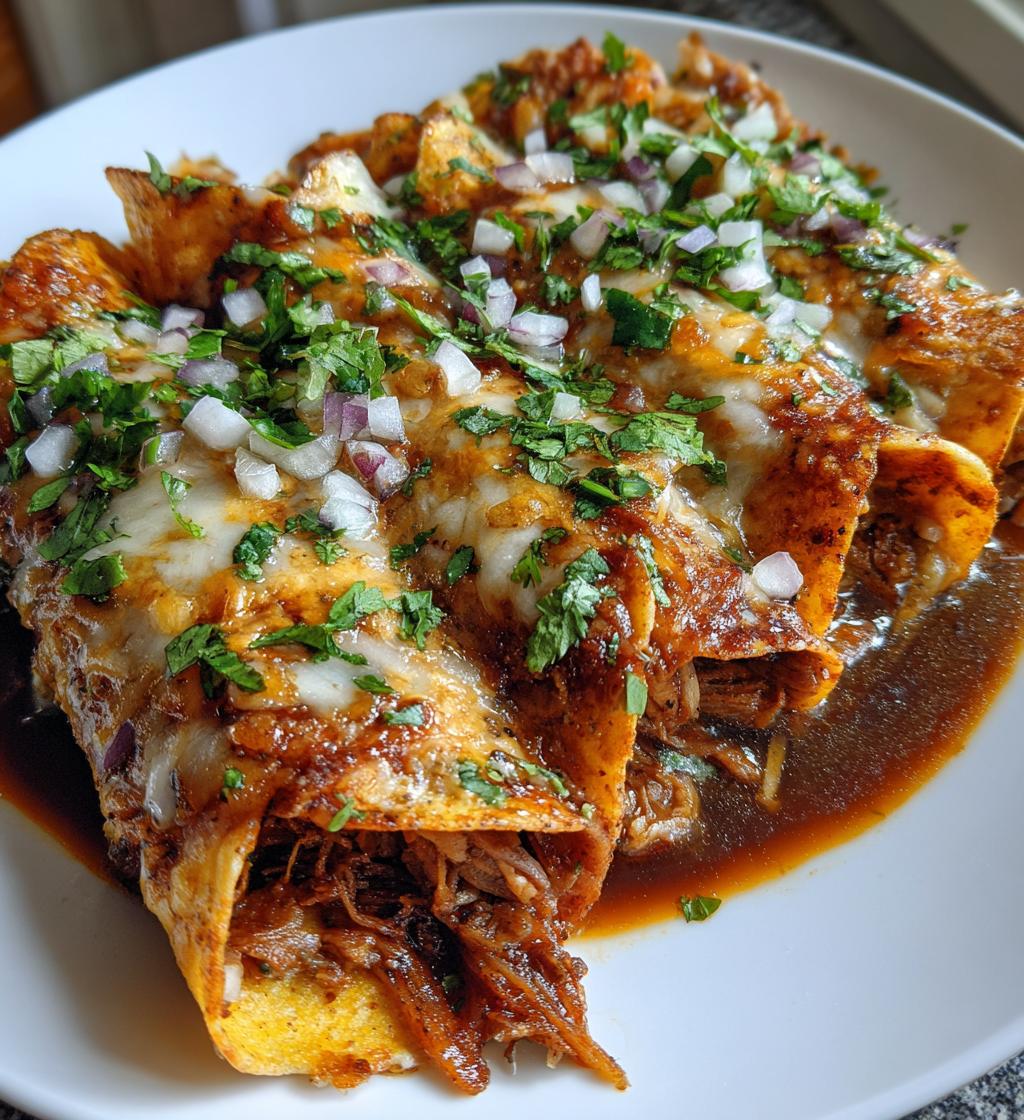 birria enchiladas