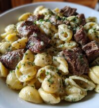 steak bites and shell pasta in garlic butter alfredo sauce