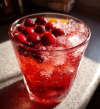 christmas cocktail ideas