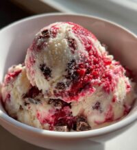 raspberry chocolate chunk ice cream