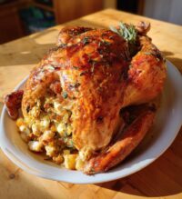 thanksgiving turkeys