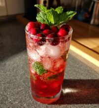 gin christmas cocktail