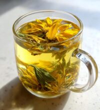 black eyed susan medicinal uses