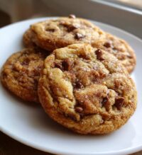 chocolate chip snickerdoodle cookies