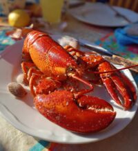 lobster party ideas table settings
