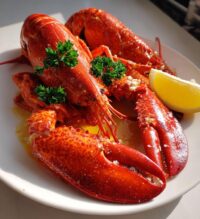 maine lobster recipes