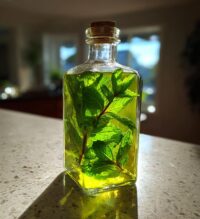 peppermint syrup