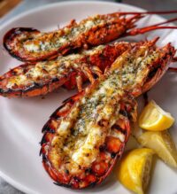 rock lobster