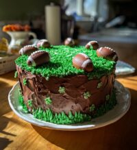 stadium cake football